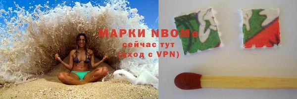 стаф Абаза