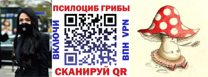 Галлюциногенные грибы Psilocybe  Батайск 